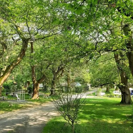 캠프장 3 Etoiles - Ccbfaig Tibiran-Jaunac