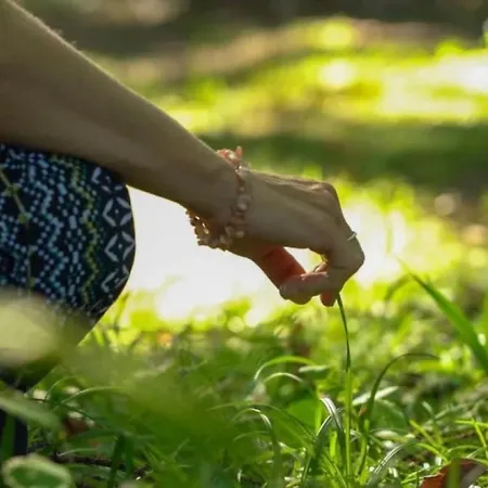 캠프장 3 Etoiles - Ccbfaig Tibiran-Jaunac