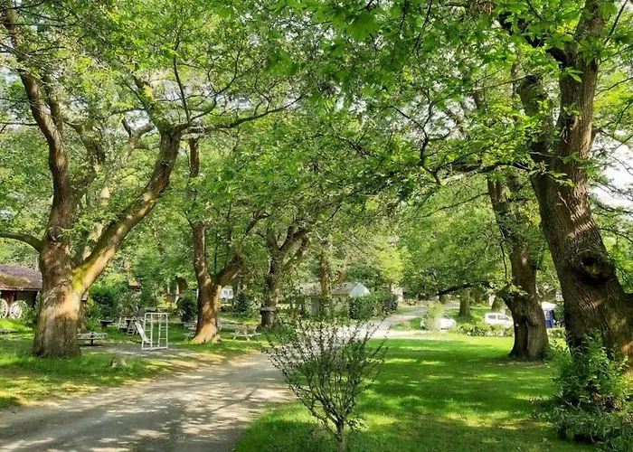 캠프장 Zecamping 3 Animaux Acceptes Et Terrain De Tennis Tibiran-Jaunac