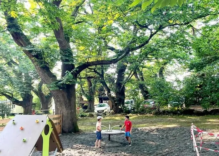 Zecamping 3 Animaux Acceptes Et Terrain De Tennis Camping Tibiran-Jaunac