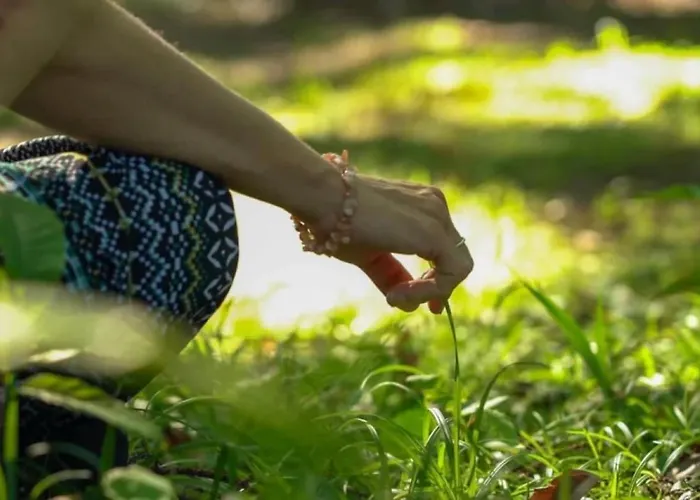 مكان تخييم 3 Etoiles - Ccbfaig Tibiran-Jaunac